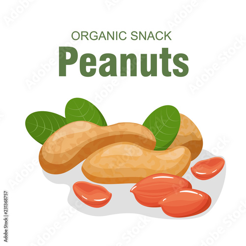 Vector peanuts in cartoon style for template label, packaging snackand emblem