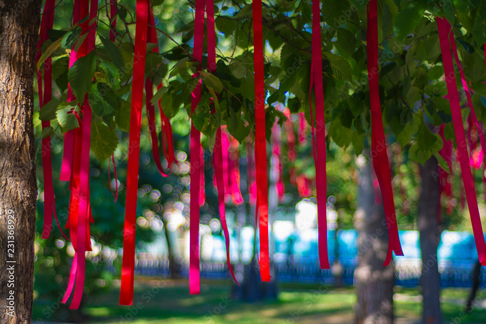 Red ribbons on the branches of a tree Red ribbons on the branches of a tree