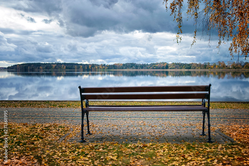 Fototapeta Naklejka Na Ścianę i Meble -  Lonely bench among the leaves. Elk, Masuria, Poland.