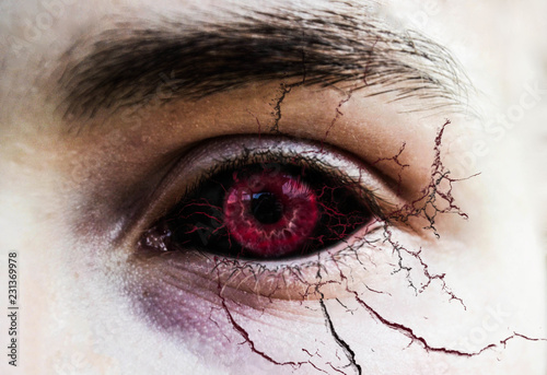 Canvas Print *horror Auge*
