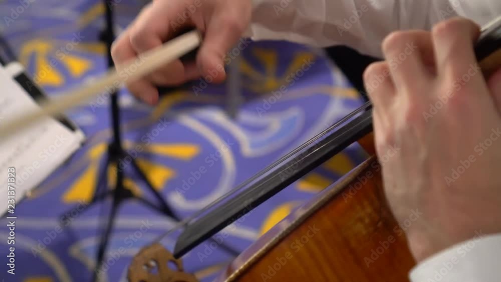Men and women play a violin and a violoncello. Men and women play a violin and a violoncello.