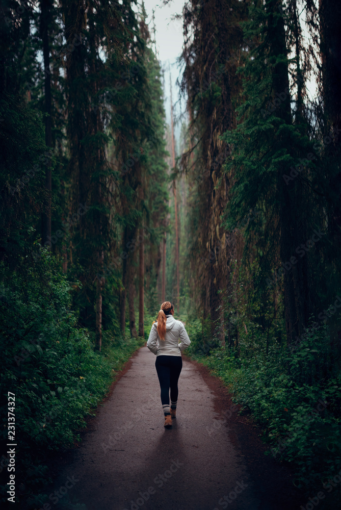Fototapeta premium Walking in the woods Banff