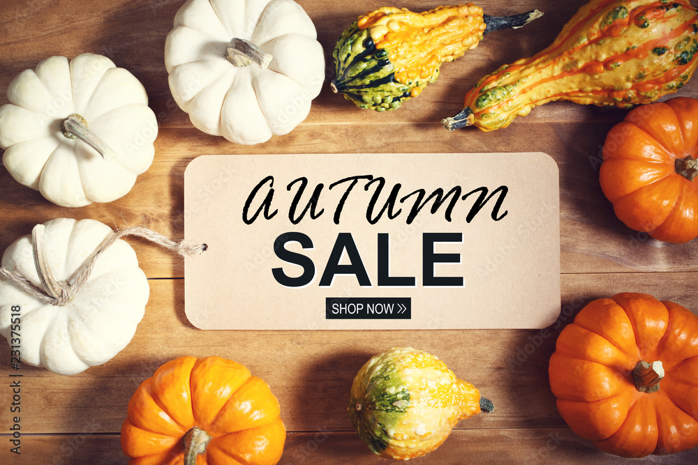 Fototapeta premium Autumn sale theme message with collection of pumpkins on a wooden table