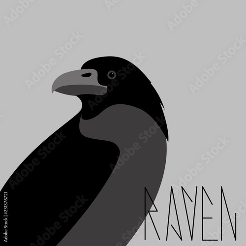 crow raven vector illustration profile