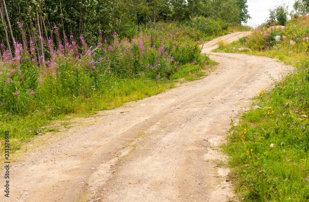 Field dirt road along the forest in summer, Republic of Karelia, Russia
