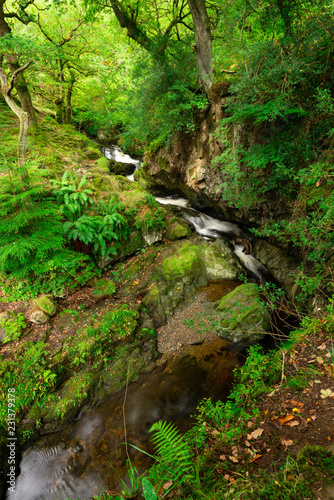 Waterfall at Aira Force National Trust  Lake District  UK