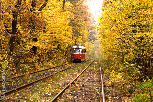 Old red tram running through the forest part in the Kiev, Ukraine