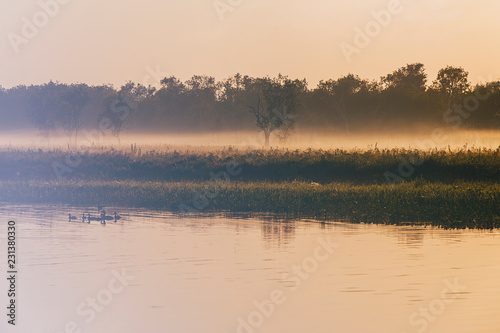 dawn on yellow water billabong , kakadu photo