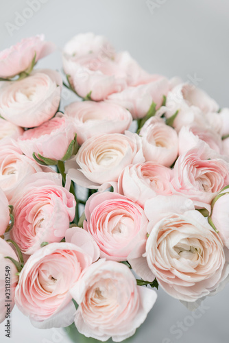 Ranunculus asiaticus or Persian Buttercup. Bunch of pastel pink blossom . Light gray background, glass vase. Wallpaper, flowers texture