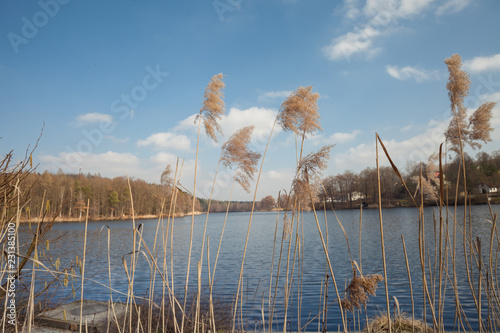 Novembersee