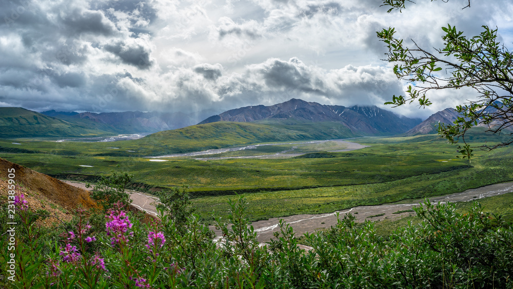 Fototapeta premium Denali national park mountains panoramic view, Alaska