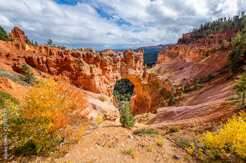 Bryce Canyon's Natural Bridge