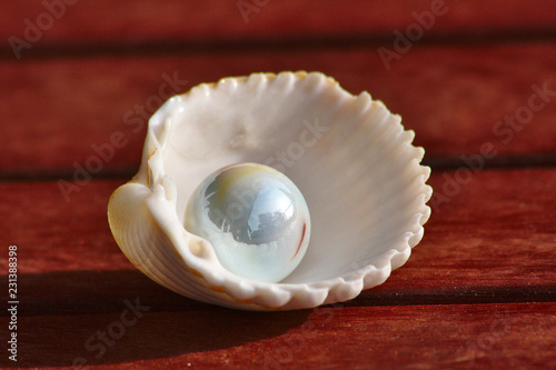Weiße Perle (Murmel) in einer weißen Muschelschale als schöner Schatz