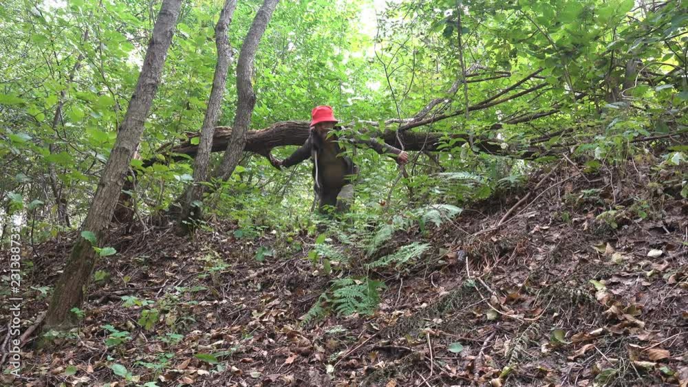Mature male traveler with a backpack passes under a fallen tree in a wild forest. Active holiday walk in the summer morning Mature male traveler with a backpack passes under a fallen tree in a wild forest. Active holiday walk in the summer morning