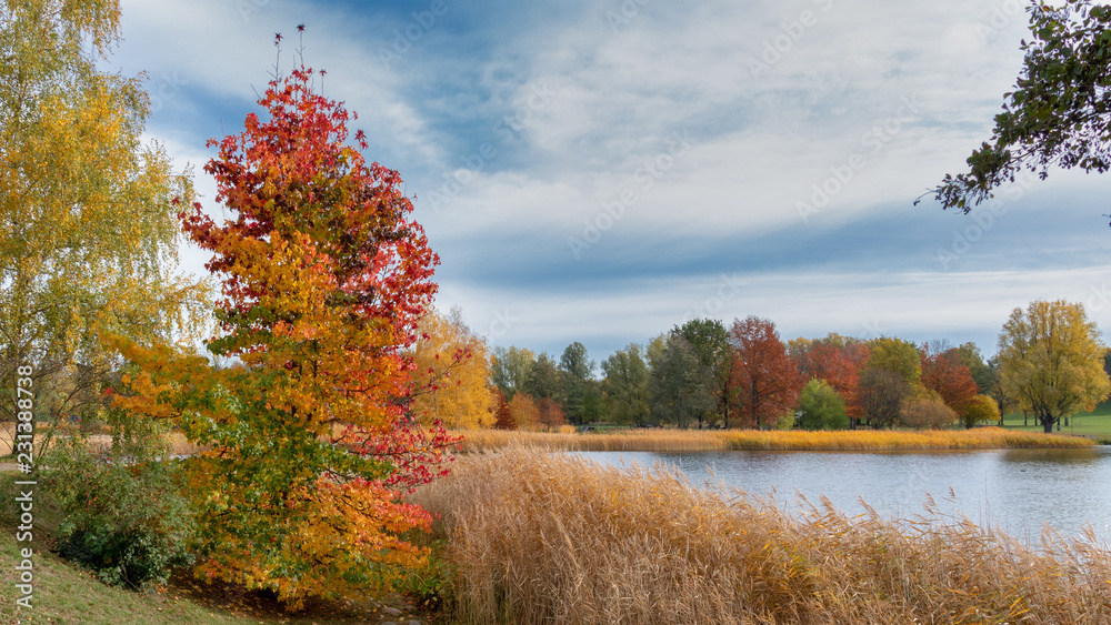 Herbstbaum