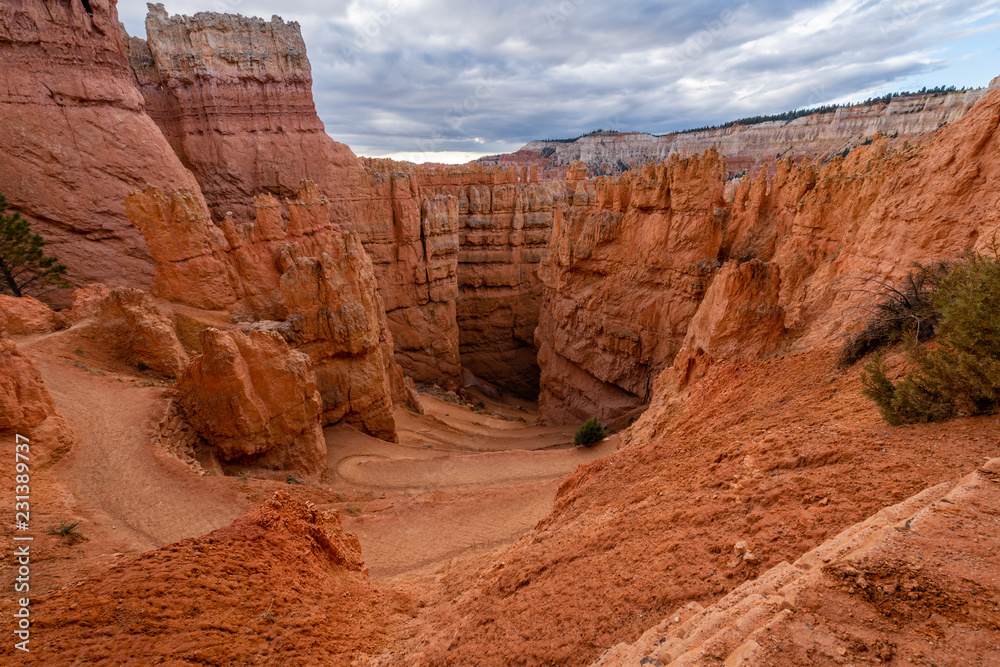 Wall Street of Bryce Canyon National Park