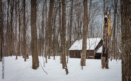 Sugar shack deep in a Boreal forest Quebec, Canada. photo