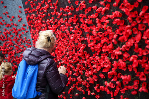 Poppies for Remembrance Day, Lest we forget. 