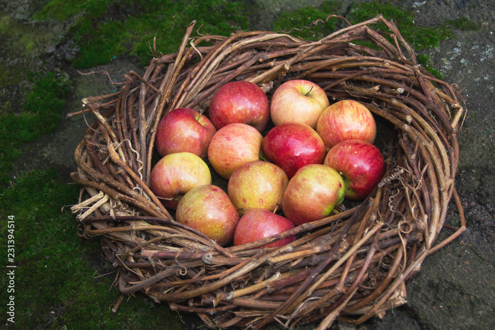 Fresh apples in a nest on concrete Fresh apples in a nest on concrete