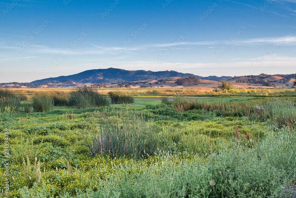 Scenic Sonoma County CA (USA)