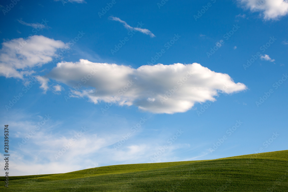 green field and blue sky green field and blue sky