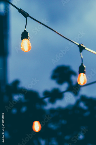 lightbulbs on outdoor garland shot at shallow depth of field during blue hour
