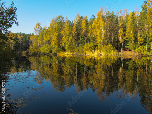 Fototapeta Naklejka Na Ścianę i Meble -  Autumn forest with a beautiful lake in sunny day. Bright colorful trees reflected in calm water with fallen leaves