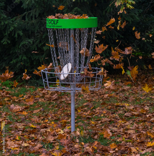 Disc and leafs in the disc golf basket