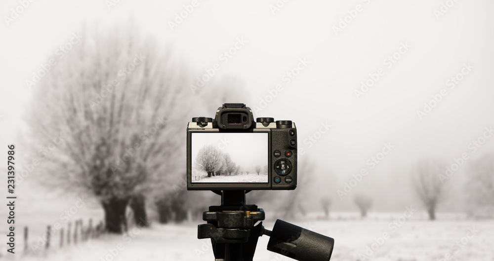 Camera and landscape with willows all covered with fresh, white snow