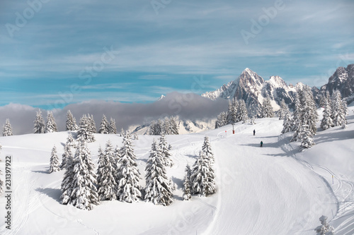 Ski slope and pine trees on mountain
