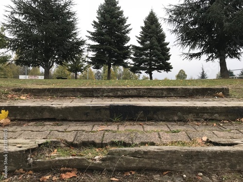 Montée vers rangée d’arbres par escalier abime photo