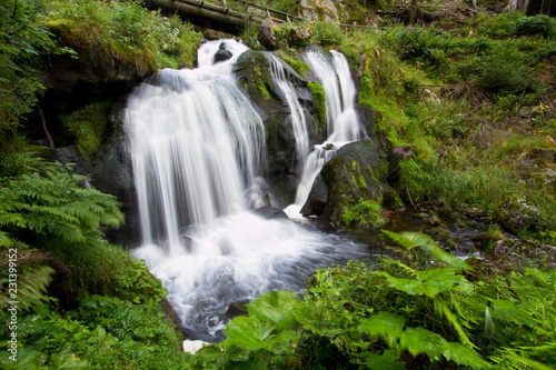 Cascata nel verde