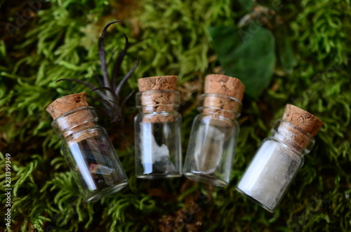 Adorable miniature bottles, fresh herbs and crystal bottles. Apothecary bottle set, cute little crystal vials, witchy decor. Wiccan ritual crystals with fresh flowers. 
