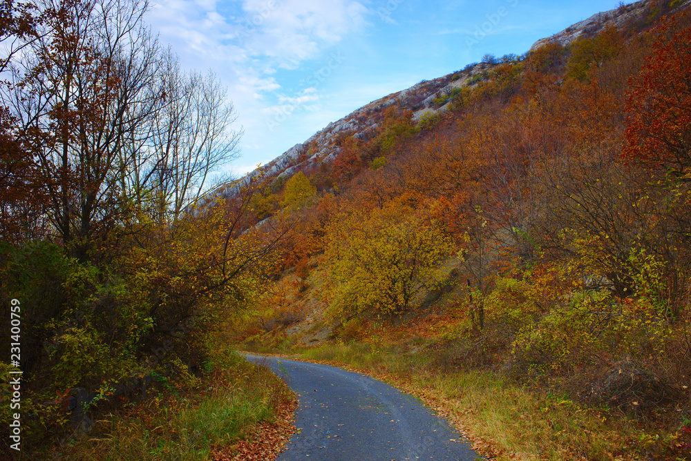 Autumn forest with a binding way Autumn forest with a binding way