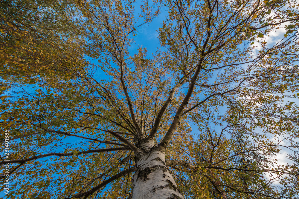 Fototapeta premium Landschaft im Herbst
