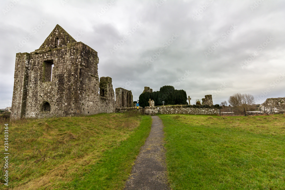 A path leads through a green pasture to the ruins of the Cathedral of Saint Peter and Paul in Trim, Ireland