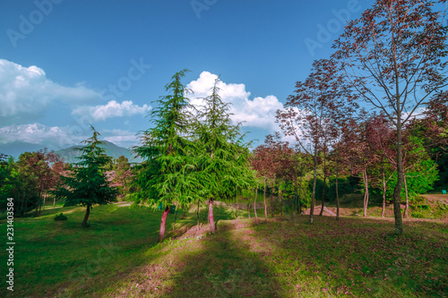 Devaria Tal - Chopta, Uttrakhand © Mubarak