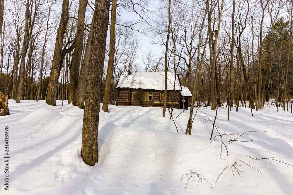 Sugar shack. Deep in a boreal forest Quebec Canada  lies this deserted sugar shack frozen in the deep mid winter.
