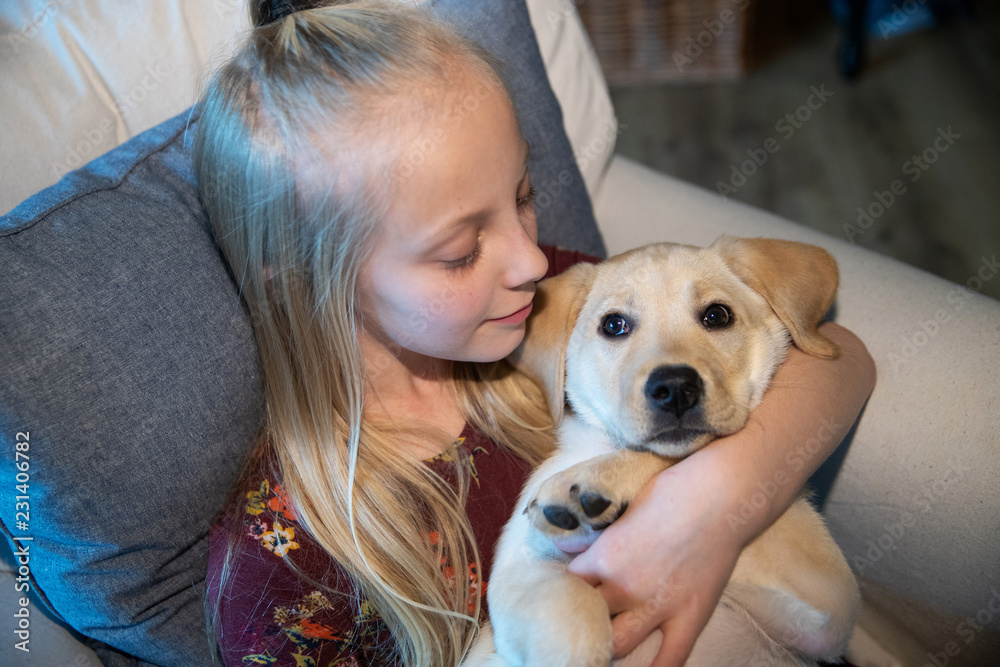 Young girl holding cute labrador retriever puppy