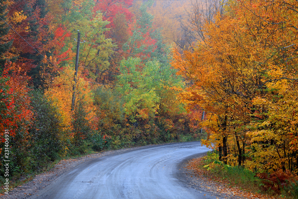 Fototapeta premium Scenic road through Quebec countryside in autumn time
