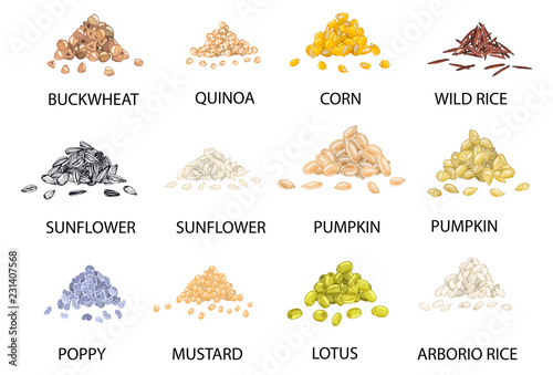 Set of hand drawn colored piles of cereal grains. Vector illustration.