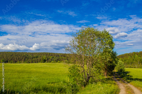 The road to the field. Summ...