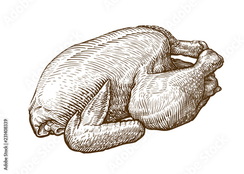 Chicken meat, broiler sketch. Food, butcher shop concept. Hand-drawn vintage vector illustration