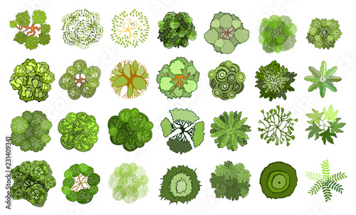 Set of colored hand drawn stylized top view trees and plants. Graphic, isolated on white, vector.