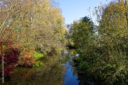 beautiful colors of autumn