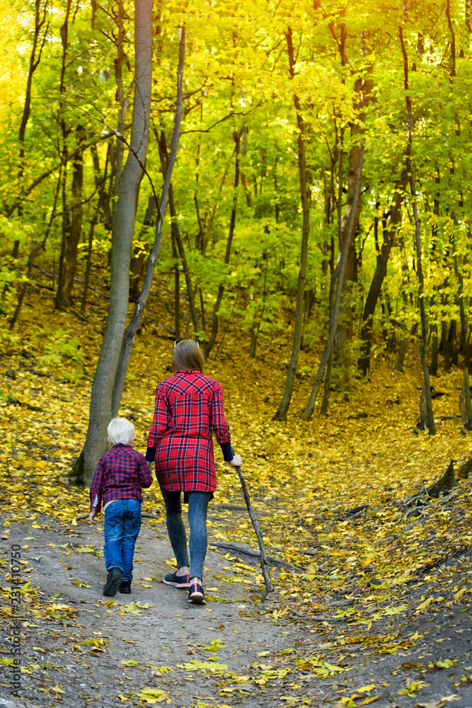 Fototapeta premium Mom and son walking in the autumn forest. Back view