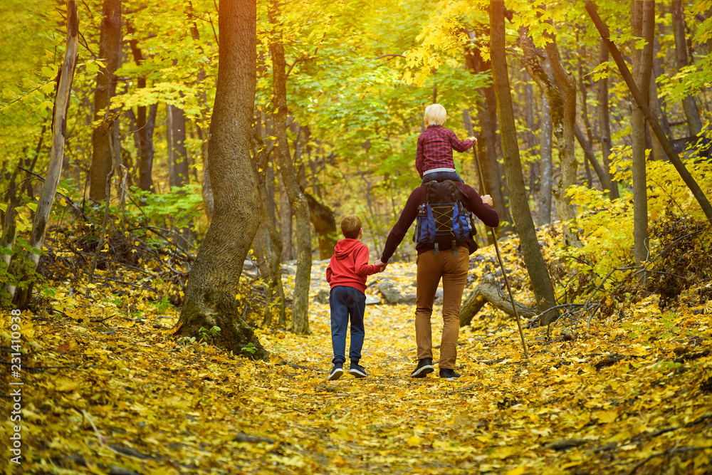 Father and two sons walking in the autumn forest. Back view