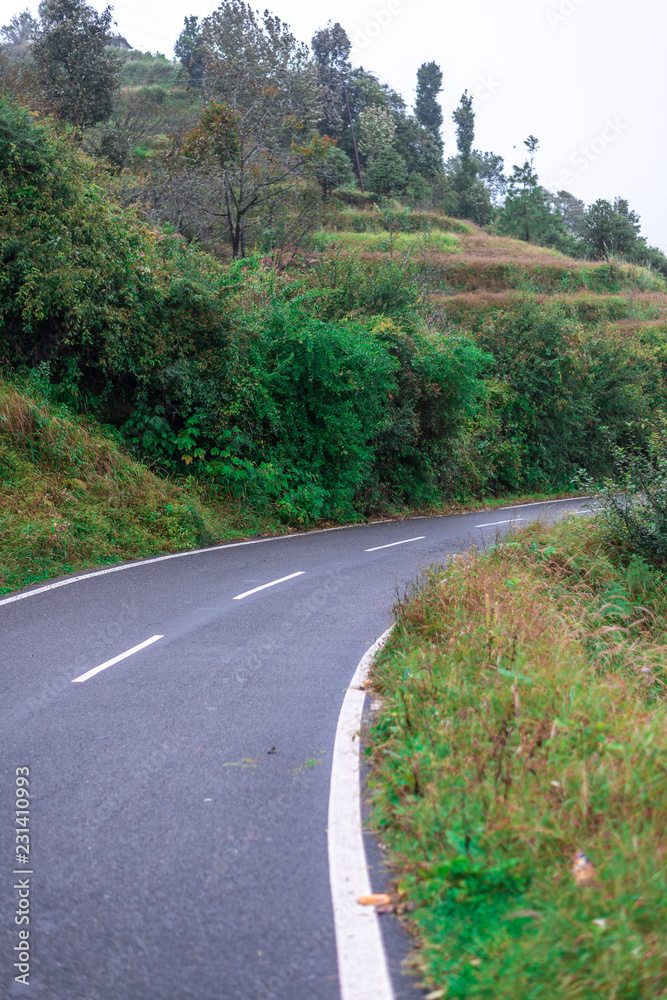 Roads in Himalayas  Lohaghat, Uttarakhand, India