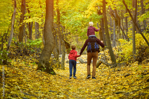 Father and two sons walking in the autumn forest. Back view