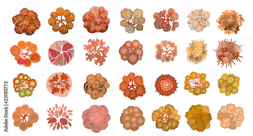 Set of colored hand drawn stylized top view autumn trees and plants. Graphic, isolated on white, vector.